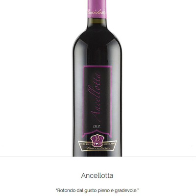 Ancelotta